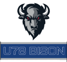 U78 Bison